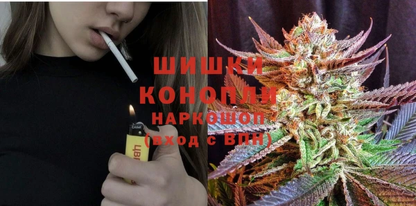 PSILOCYBIN Ессентукская