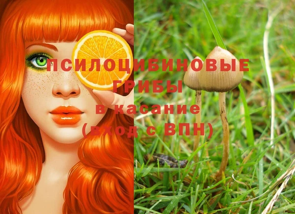 марки lsd Нея