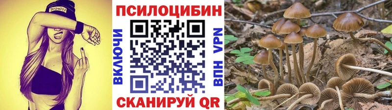 Галлюциногенные грибы GOLDEN TEACHER  где купить наркоту  Сарапул 